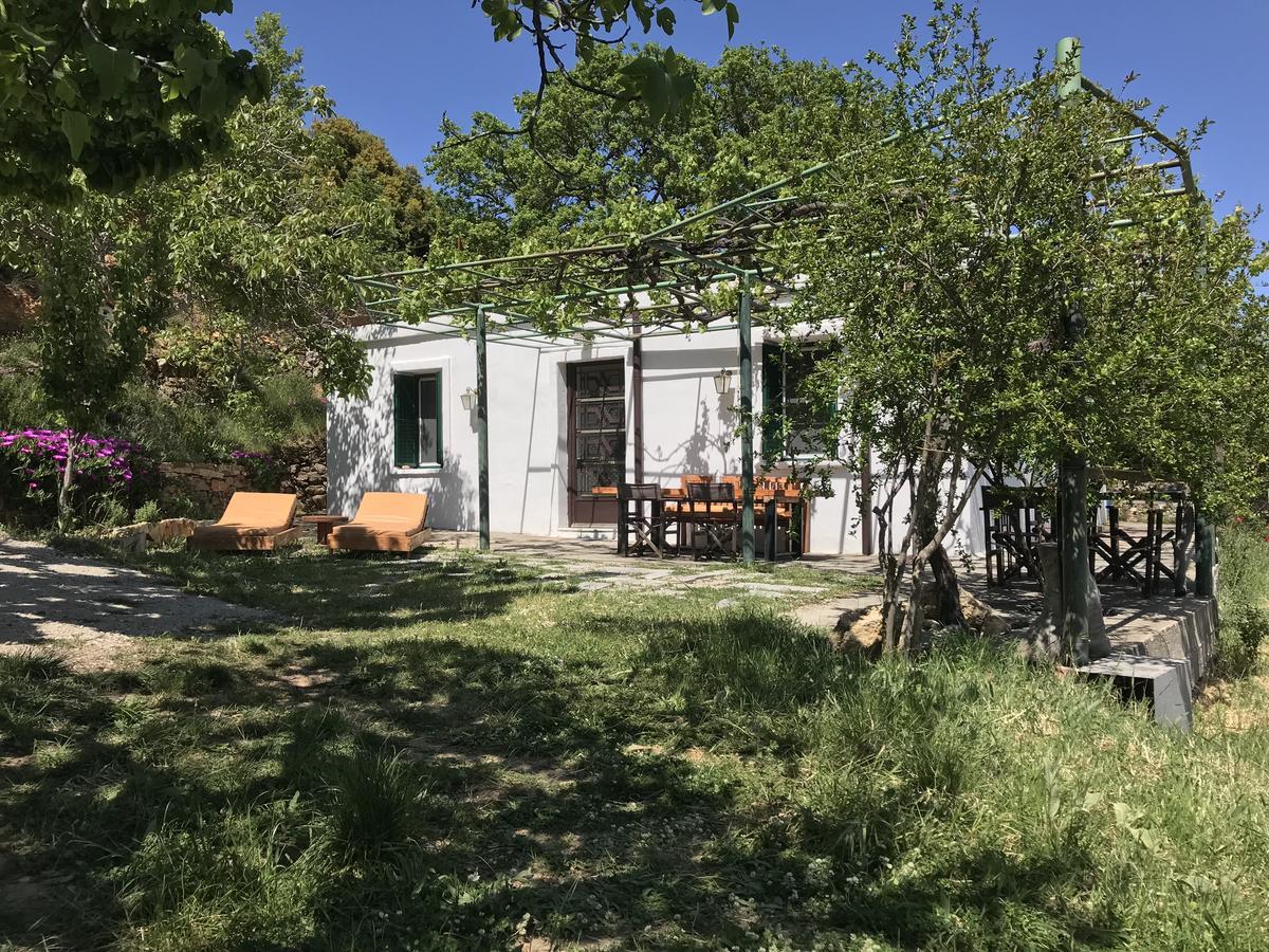 Temenia House别墅 外观 照片